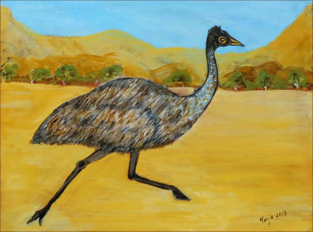 ‘Emu Running’ Tarja Rantala $80 (42 x 32cm Framed) Acrylic