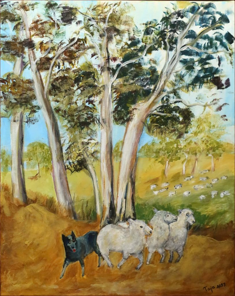 8 'Herding Sheep' Targja Rantala $150 (51 x 41cm Framed) Acrylic - Redland Yurara Art Society