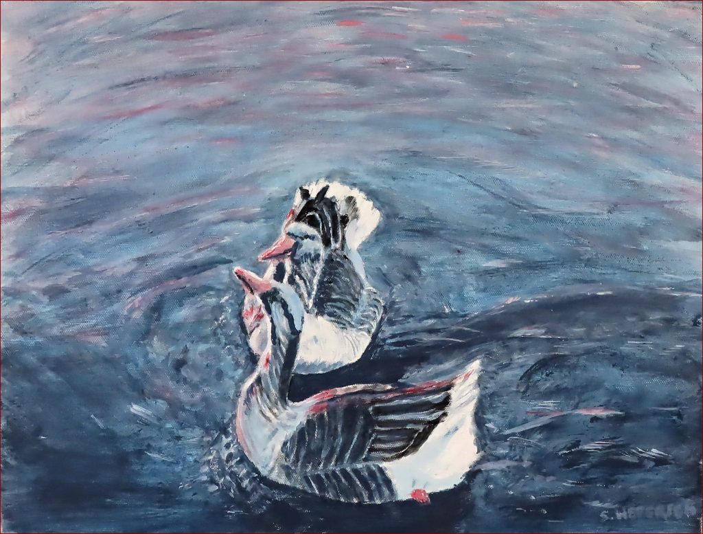 01 'Ducks on the Murray River' Sylvia Heterick $275 (46cm x 36cm Not Framed) Acyrlic