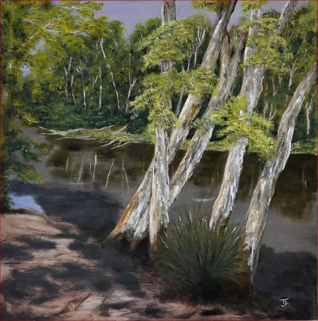 04  'Hilliard Creek' Tony Edbrooke $135 (51cm x 51cm Not Framed) Acrylic