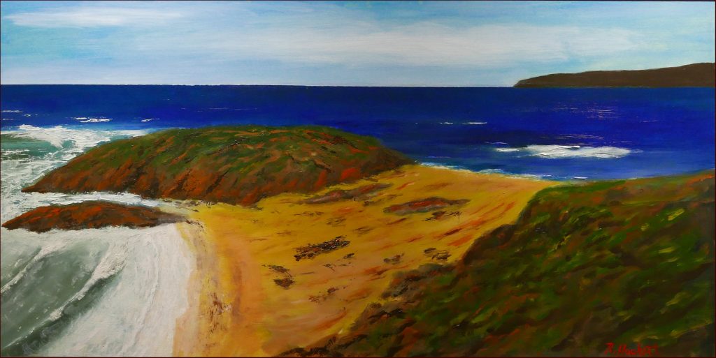 11 'Merimbula Coast' Ray Hackett $500 (133cm x 72cm Framed) Oils - Redland Yurara Art Society
