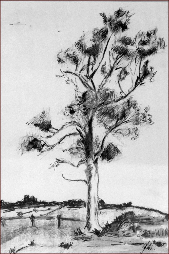 21 'Tree' by Joanne Hilder, Ink, 33x43cm Framed, NFS - Pen & Ink Exhibition - Redland Yurara Art Society