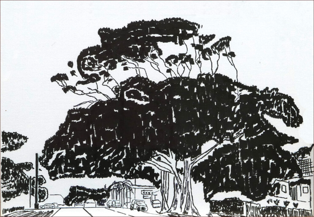 12 'Moreton Trees' by Ross Mierendorff, Ink, 40x30cm Framed, $100, Moreton Bay Exhibition - February 2024 - Redland Yurara Art Society