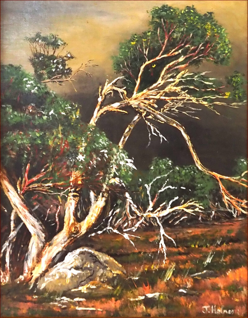 04 'Snow Gum' by John L Holmes, Acrylic, 40x50cm, Framed, $125