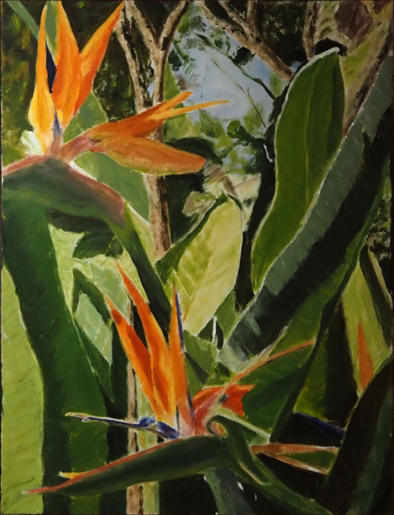 07 'My Garden' by Sylvia Heterick, Acrylic, 46x61cm, Framed, $190