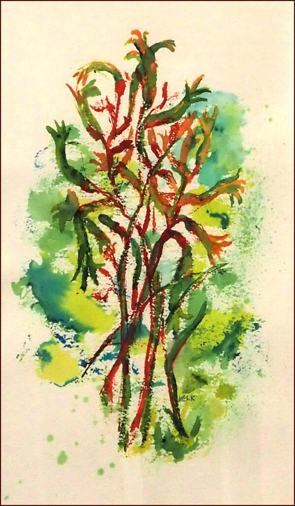 19 'Kangaroo Paw' by Mary Kirkby, Watercolour, 45x62cm, Framed, $260
