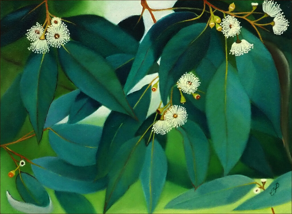 27 'Flowering Gum' by Christine Pugh, Oils, 40x30cm, Not Framed, $100