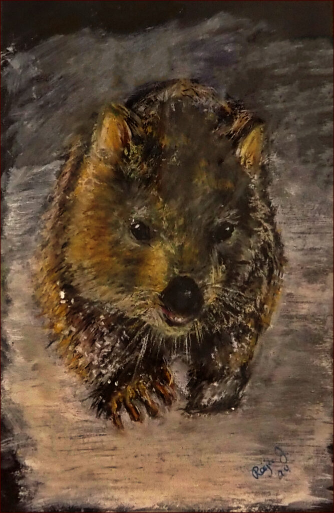 07 'Wooly Wombat' by Raija Jantti, Oil Pastel, 20x29cm, Framed, $80
