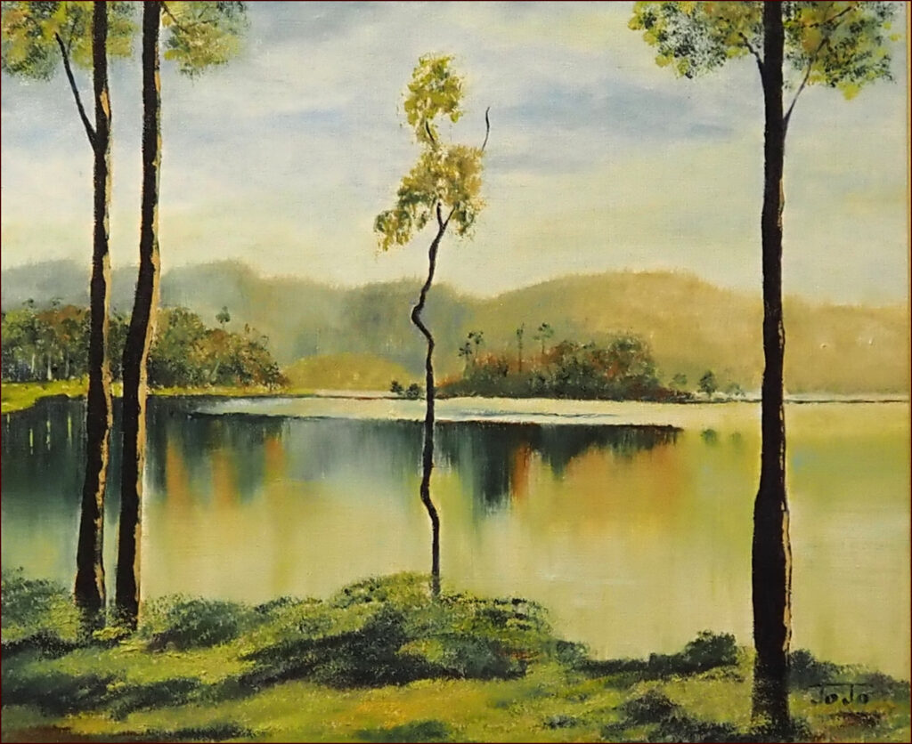 15 'Adventure Bay Tasmania' by Josephine Symons, Oils, 32x26cm, Framed, $125