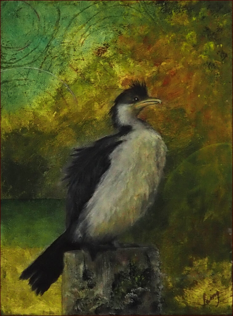 11 '.... on a Rock' by Jan Laing, Acrylic, 30x38cm, Not Framed, $150