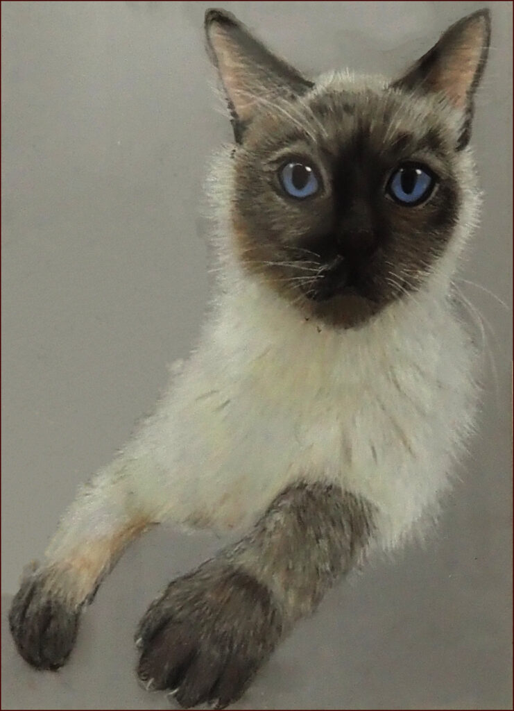 18 'Lychee' by Noreen Eyears, Pastel, 34x39cm, Framed, Not For Sale