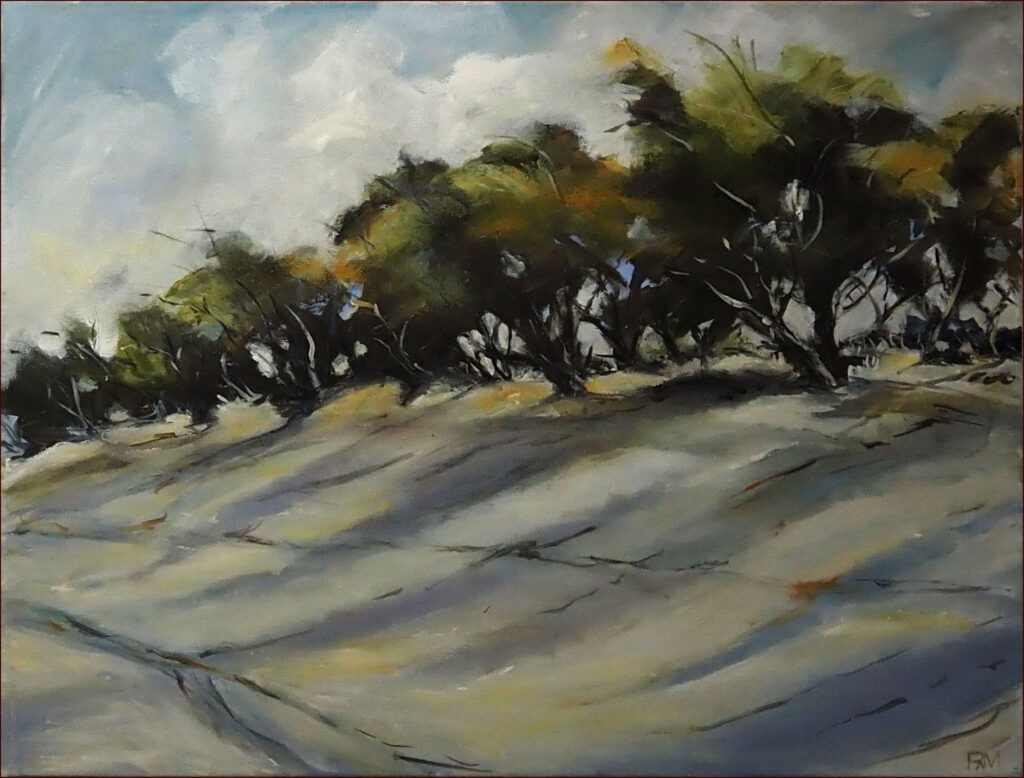 19 'Wavebreak Island' by Pam Maccoll, Oils, 60x45cm, Not Framed, $280