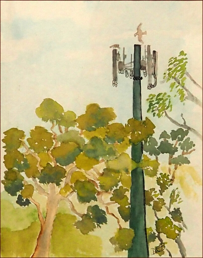 11 'Real Estate for Ospreys' by Danielle Bain, Watercolour, 19x25cm, Framed, $60