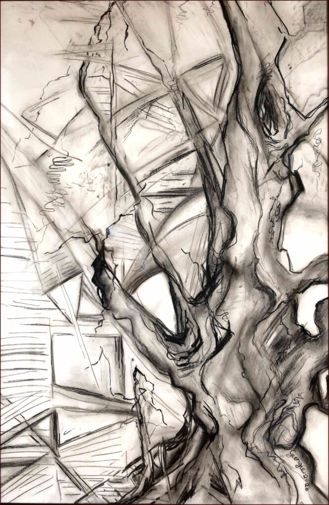 17 'Hiding in Plain Sight', Georgie Usher, Charcoal, 69x100cm, Framed, $60