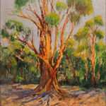 08 'Years after Fires' - Mary Kirkby, Oils, 40x51cm, Not Framed, $220