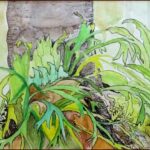 27 'Bunya and Ferns' - Danielle Bain, Watercolour, 29x31cm, Framed, $105