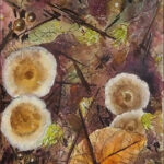 38 'Underfoot' - Annie Radcliffe, Mixed Media, 33x43cm, Framed, $120