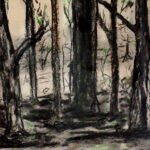 03 'After the Bushfire' - Sylvia Heterick, Charcoal & Pastel, 20x25cm, Framed, $80