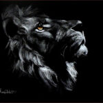 36 'Leo' - Sharyn Talbot, Coloured Pencil, 35x30cm, Framed, $250