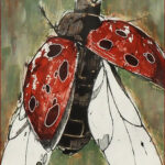 05 'Ladybird' - Sharyn Talbot, Mono Print, 19x24cm, Framed, $110