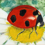 10 'Lady Beetle' - Raija Jantti, Watercolour & Acrylic, 20x15cm, Framed, $80