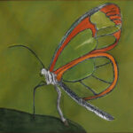 12 'Butterflies are Free' - Arja Tossavainen, Acrylic, 49x37cm, Framed, $80