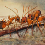 14 'Hello!' - John L Holmes, Watercolour & Acrylic, 30x21cm, Framed, $150