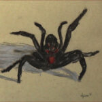 16 'Funnel Web Spider' - Sylvia Heterick, Charcoal & Pastel, 32x24cm, Framed, Offer