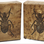 26 'Beetles 1&2' - Noreen Eyears, Ecoprint, 10x10cm, 10x10cm, Not Framed, $25