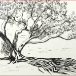 19 'Mangrove on the Bay' - Danielle Bain, Ink, 20x15cm, Framed, $30