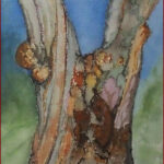 20 'Bark and Burls' - Danielle Bain, Watercolour, 21x29cm, Framed, $50