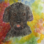 29 'Pup' - Tarja Rantala, Watercolour, 21x30cm, Framed, $70