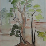 12 'Gum Tree for Nesting' - Danielle Bain, Watercolour, 21x29cm, Framed, $40