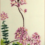 22 'Crucifix Orchids' - Sylvia Heterick, Pastel, 20x25cm, Framed, $200