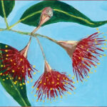 28 'Red Gum Blossom' - Lynne Wright, Acrylic, 15x18cm, Not Framed, $10