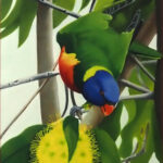 03 'Lorikeet' - Christine Pugh, Oils, 35x71cm, Not Framed, $150