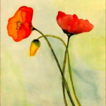 09 'Poppies' - Danielle Bain, Watercolour, 41x58cm, Framed, $90