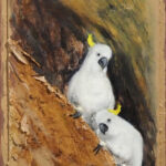 28 'Cockatoos' - Raija Jantti, Mixed Media, 28x40cm, Framed, $90