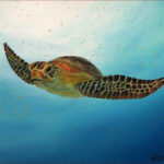 18 'Turtle' - Helen Boydell, Oils, & Resin 80x60cm, Not Framed, $180