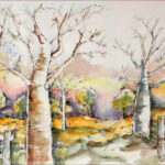 18 'Boag Trees - Kimberleys' - Sharyn Talbot, Ink & Watercolour, 36x26cm, Framed, $325